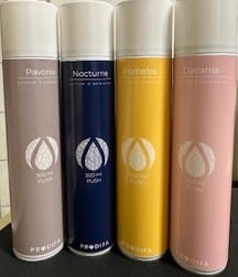 Raumduft Aerosol Push 300ml